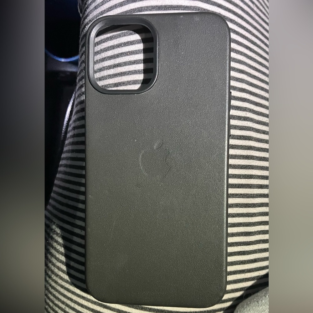 12 Pro Max leather case